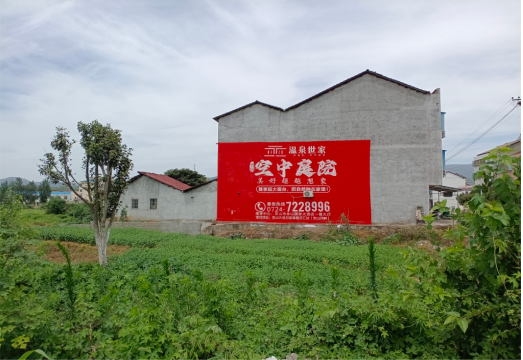  茶陵做墙体广告的意义