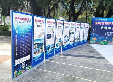  茶陵KT板的种类和知识。